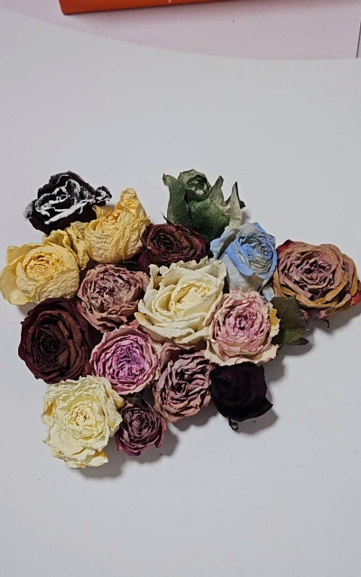 矿泉水瓶养花，废物利用，轻松打造小花园