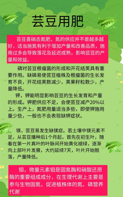 矿泉水瓶养花，废物利用，轻松打造小花园