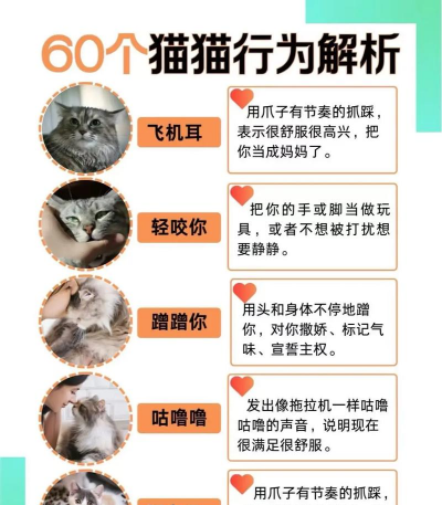 矿泉水瓶养花，废物利用，轻松打造小花园