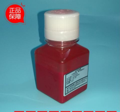 矿泉水瓶养花，废物利用，轻松打造小花园