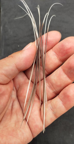 矿泉水瓶养花，废物利用，轻松打造小花园