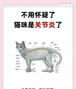 芦荟的养殖方法，轻松掌握技巧，养出健康植株