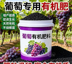 芦荟的养殖方法，轻松掌握技巧，养出健康植株