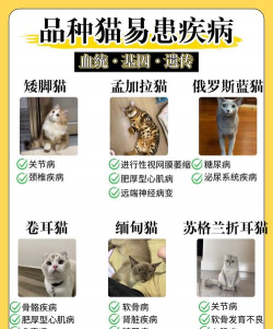 芦荟的养殖方法，轻松掌握技巧，养出健康植株