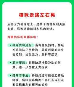 芦荟的养殖方法，轻松掌握技巧，养出健康植株