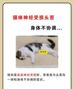 芦荟的养殖方法，轻松掌握技巧，养出健康植株