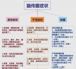 养花陶粒，提升植物生长，优化土壤环境