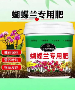 养花陶粒，提升植物生长，优化土壤环境