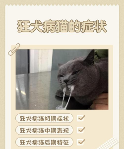 养花陶粒，提升植物生长，优化土壤环境