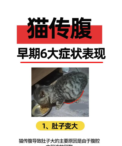 养花陶粒，提升植物生长，优化土壤环境