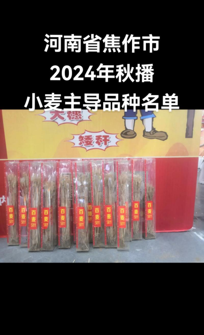 养花陶粒，提升植物生长，优化土壤环境