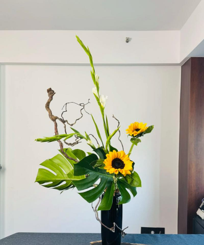 养花陶粒，提升植物生长，优化土壤环境