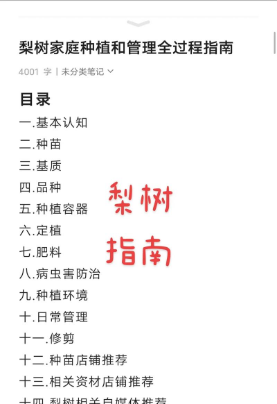 养花陶粒，提升植物生长，优化土壤环境