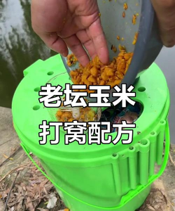 养花陶粒，提升植物生长，优化土壤环境