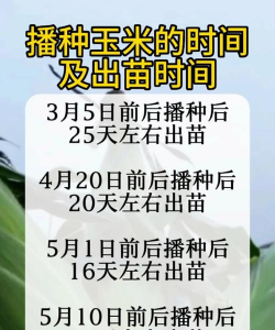 养殖场直联直报，提高数据效率，规范行业管理