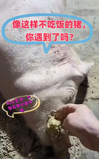 养殖场直联直报，提高数据效率，规范行业管理