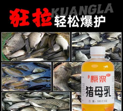 养殖场直联直报，提高数据效率，规范行业管理