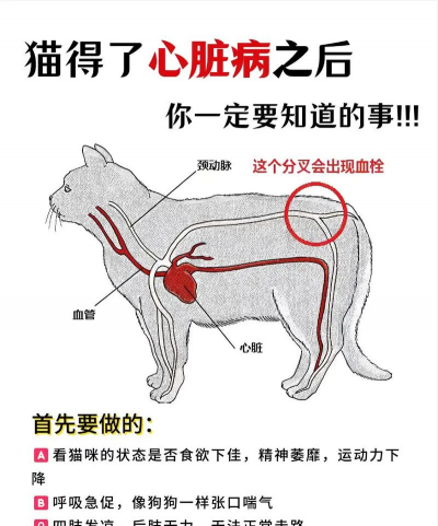 养殖场直联直报，提高数据效率，规范行业管理