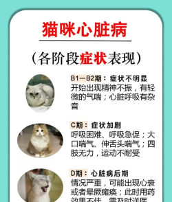 养殖场直联直报，提高数据效率，规范行业管理