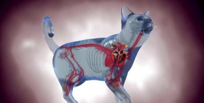 养殖场直联直报，提高数据效率，规范行业管理