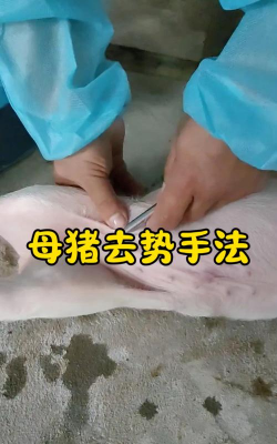 养殖场直联直报，提高数据效率，规范行业管理