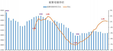 养殖场直联直报，提高数据效率，规范行业管理