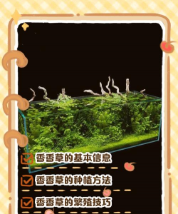 养殖场直联直报，提高数据效率，规范行业管理