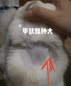 养殖场直联直报，提高数据效率，规范行业管理