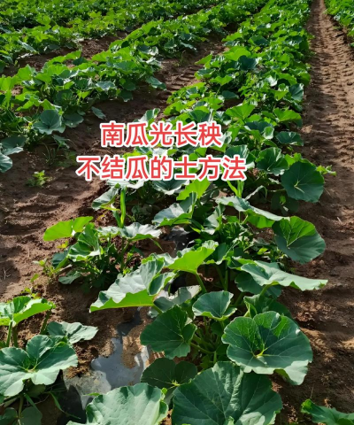 养殖场直联直报，提高数据效率，规范行业管理