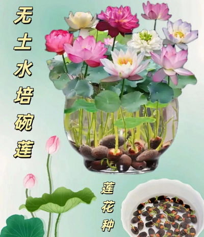 养殖场直联直报，提高数据效率，规范行业管理