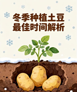 牛粪养花的正确方法，避免烧根，提升肥效