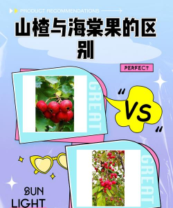 牛粪养花的正确方法，避免烧根，提升肥效