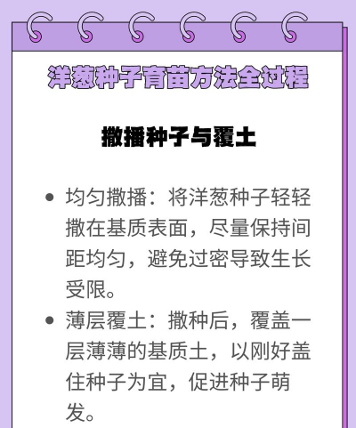 牛粪养花的正确方法，避免烧根，提升肥效