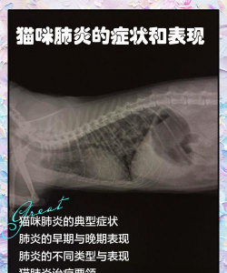 牛粪养花的正确方法，避免烧根，提升肥效