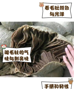 怎么养花，新手入门，轻松上手