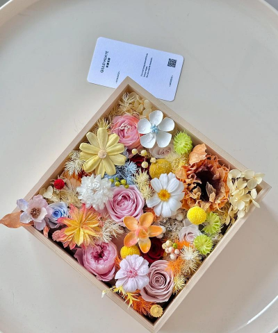 怎么养花，新手入门，轻松上手