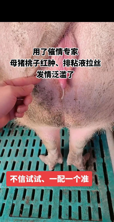 怎么养花，新手入门，轻松上手