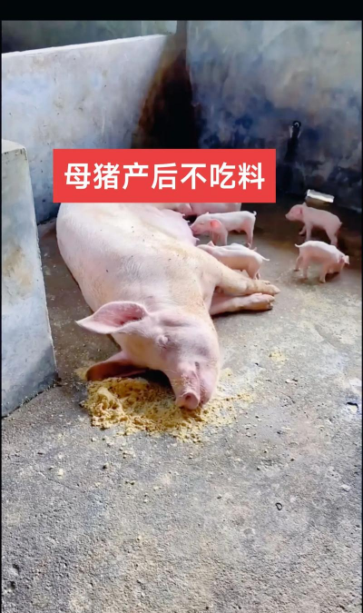 怎么养花，新手入门，轻松上手