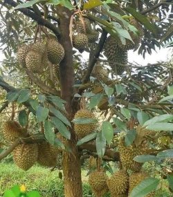 怎么养花，新手入门，轻松上手