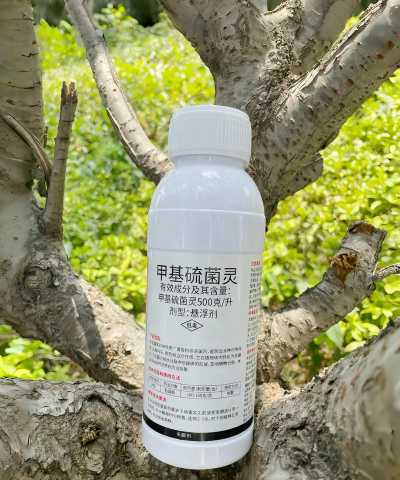 芦荟的养殖方法，轻松掌握技巧，养出健康植株