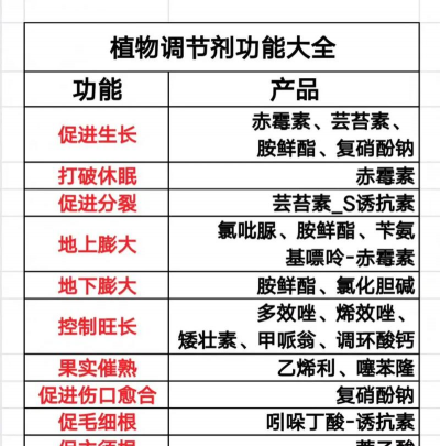 芦荟的养殖方法，轻松掌握技巧，养出健康植株