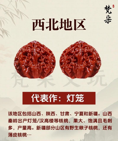 养花陶粒，提升植物生长，优化土壤环境