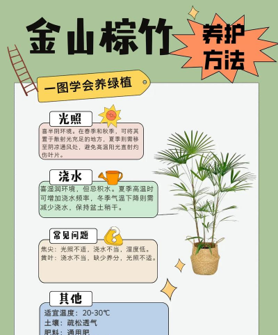 养花陶粒，提升植物生长，优化土壤环境