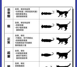 养花陶粒，提升植物生长，优化土壤环境