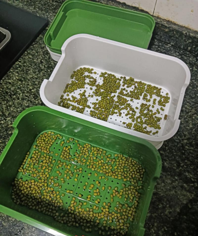 养花陶粒，提升植物生长，优化土壤环境