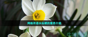 养花陶粒，提升植物生长，优化土壤环境