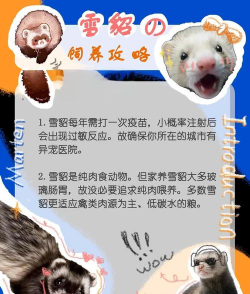 养花浇水，掌握正确方法，让植物健康生长