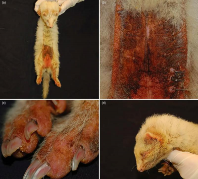 养殖场直联直报，提高数据效率，规范行业管理