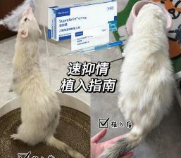 养殖场直联直报，提高数据效率，规范行业管理