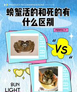 养殖场直联直报，提高数据效率，规范行业管理